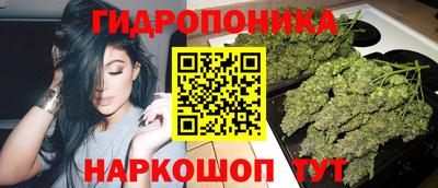 стаф Братск