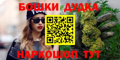 гидра Брянск