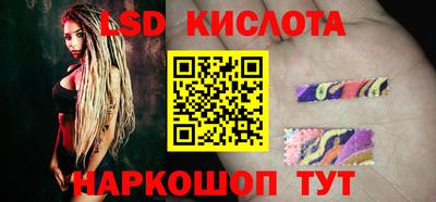гидра Брянск