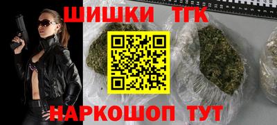гидра Брянск