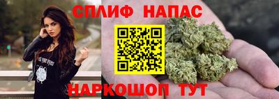 гидра Брянск