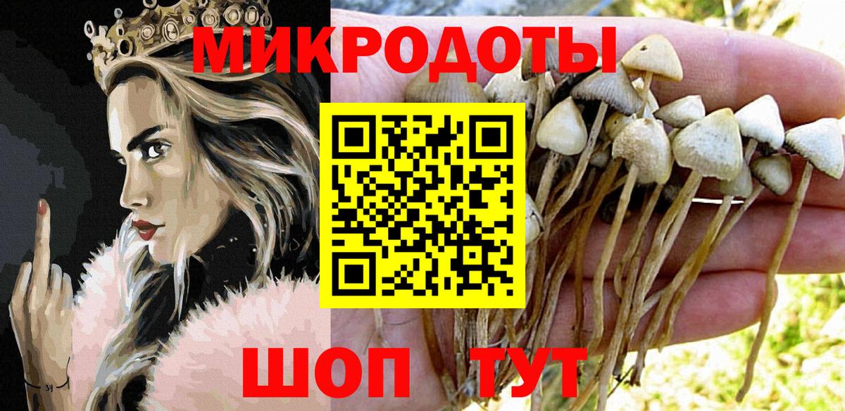 Галлюциногенные грибы Cubensis Гулькевичи