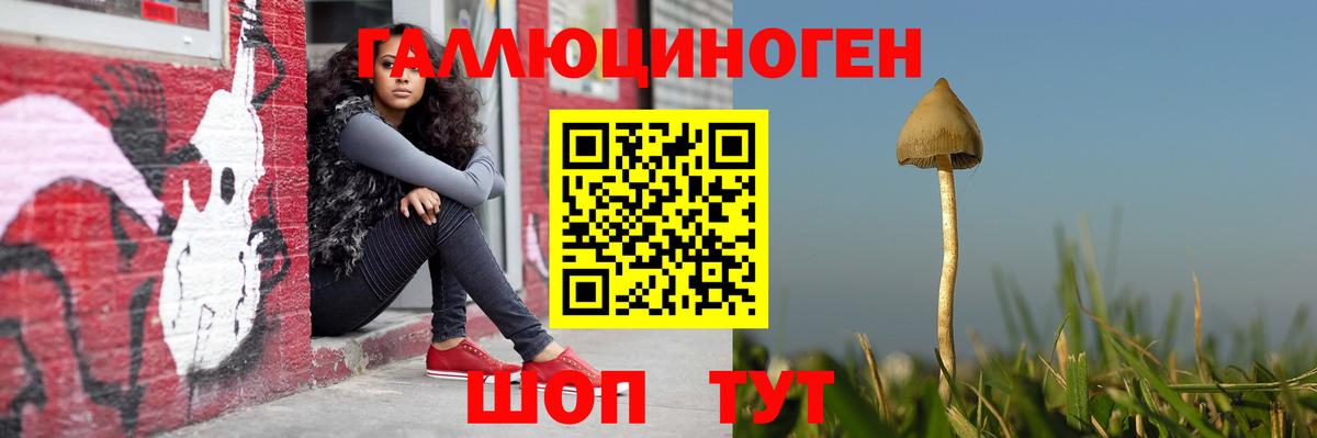 Псилоцибиновые грибы Psilocybe  Псилоцибиновые грибы MAGIC MUSHROOMS  Вход с VPN  Гулькевичи 